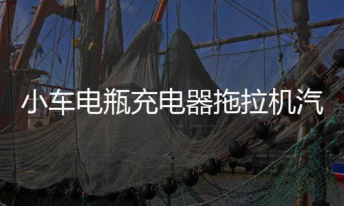 小车电瓶充电器拖拉机汽车AGM蓄电池全自动保护12V24V快速充电机