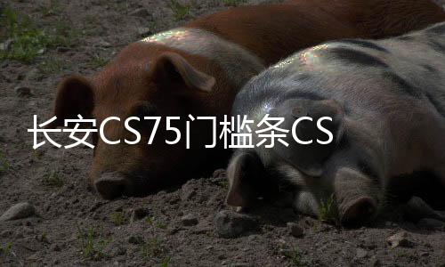 长安CS75门槛条CS75plus改装内饰车贴配件汽车迎宾踏板防刮踩踏贴