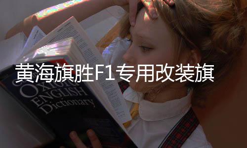 黄海旗胜F1专用改装旗胜V3装饰配件汽车内饰中控仪表台防晒避光垫